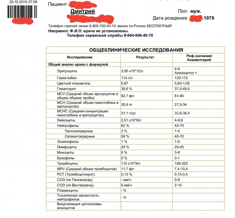 Нейтрофилы палочкоядерные 1. Норма сегментоядерных в крови. Норма палочкоядерных сегментоядерных. ОАК палочкоядерные норма. Палочкоядерные нейтрофилы у кошки. Нейтрофилы палочкоядерные 1. Норма сегментоядерных в крови. Норма палочкоядерных сегментоядерных. ОАК палочкоядерные норма.